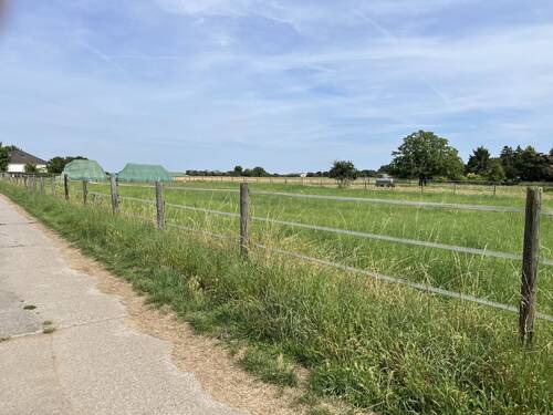 Erholung Pur nur 1 min entfernt_web.jpg - 