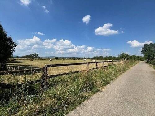 ...nur 1min. entfernt.jpg - 