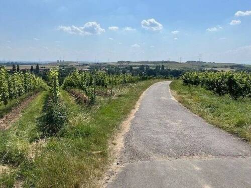 ...nur wenige gehminten zum spazieren & erkunden.j - 