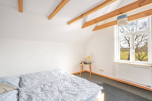 Zimmer3.1 - 