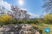 ...und Terrasse mit altem Baumbestand - 