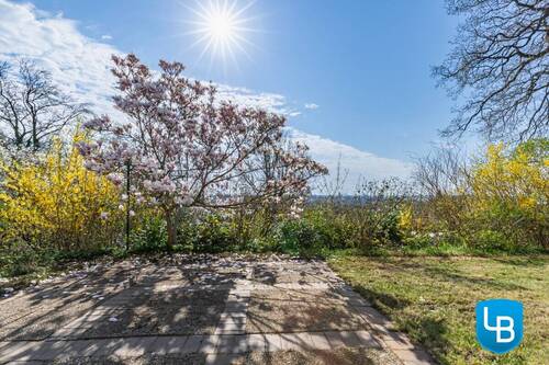 ...und Terrasse mit altem Baumbestand - 