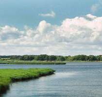 Bauen Sie hier Ihr Traumhaus! - 499.999,00&nbsp;EUR Kaufpreis, ca.&nbsp; 140,00&nbsp;m&sup2;&nbsp;Wohnfl&auml;che in Nordwestmecklenburg - Landkreis - Dassow (PLZ: 23942) Kaltenhof