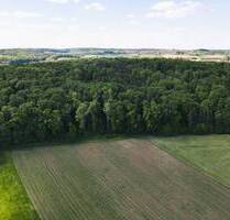 LAUBWALD Nähe Treuchtlingen Auernheim