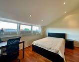 Zimmer DG - 