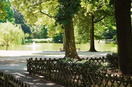 Ausgang zum Park - 3 Zimmer Etagenwohnung zum Kaufen in Gelsenkirchen
