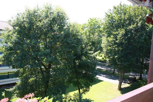 IMG [] - 