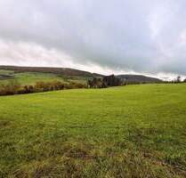 WIESE Nähe Weißenburg OT Niederhofen Gänswirtshaus - Weißenburg Oberhochstatt