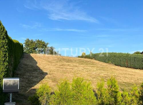 Grundstück - Grundstück in Steinigtwolmsdorf zum Kaufen