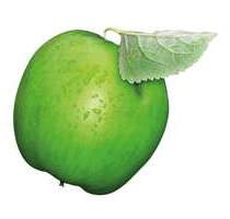 Bürofläche mit Renovierungspotenzial in Bayreuths Laineck