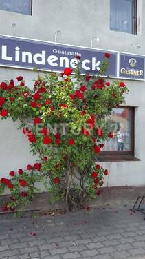 Bild 4 - Hotel, Pension, Gasthof in Lohsa zum Kaufen