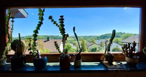 Ihr Fensterpanorama - 