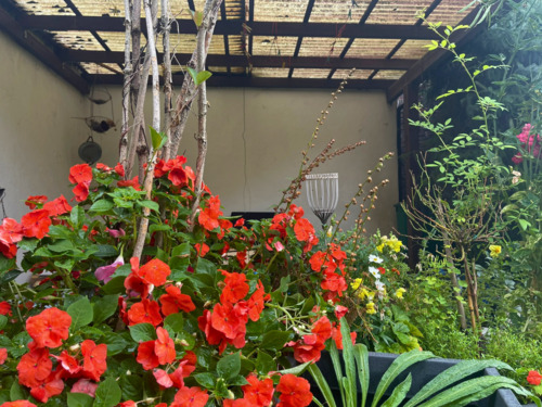 überdachte Terrasse - 