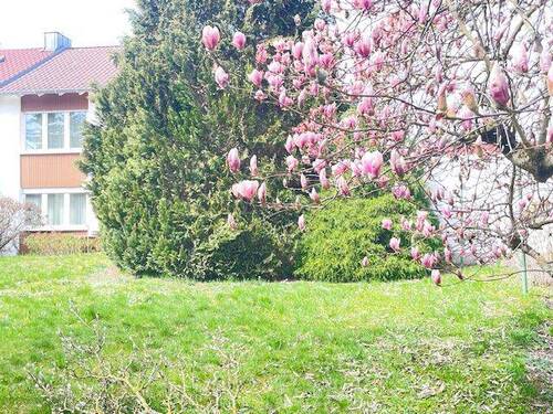 IMG_2269.JPG - Mehrfamilienhaus, Wohnhaus mit 155,00 m&sup2; in Nürnberg zum Kaufen