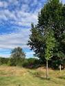 Bild 6 - 