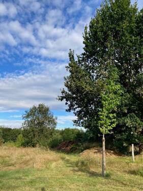 Bild 6 - 