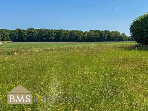 Bild 1 - Baugrundstück in Ferschweiler: 5.91 Ar in Traumlage!