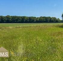 Baugrundstück in Ferschweiler: 5.91 Ar in Traumlage!