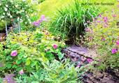 Bild 12 - 