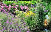 Bild 13 - 