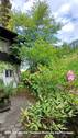 Bild 14 - 