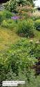 Bild 17 - 