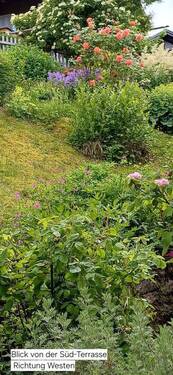 Bild 17 - 