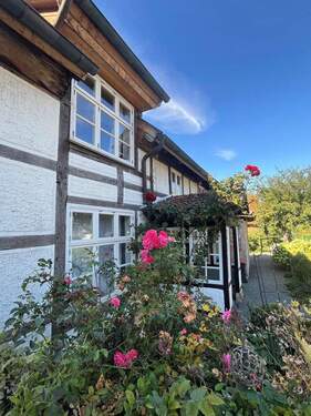 straßenseitig - 1 Zimmer Mehrfamilienhaus, Wohnhaus in Bad Münder