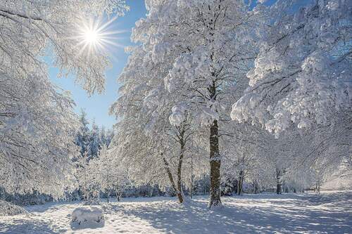 Traumhaftes Grundstück - Traumhaftes Grundstück mit Baugenehmigung.