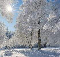 Traumhaftes Grundstück mit Baugenehmigung. - Unterschleißheim Lohhof
