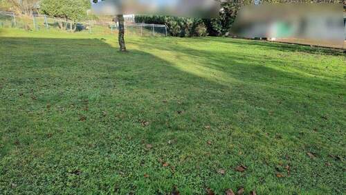 Bauplatz - Grundstück zum Kaufen in Lottstetten