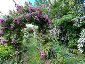 Rosengarten - 
