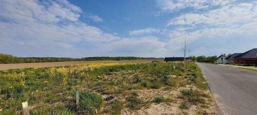 Bild 11 - Grundstück in Velgast zum Kaufen