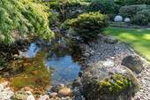 Gartenteich - 