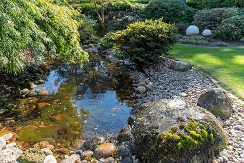 Gartenteich - 