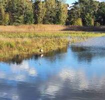 Grundstück im Wochenendgebiet Würmsee! (MA-1020-43) - Burgwedel Kleinburgwedel