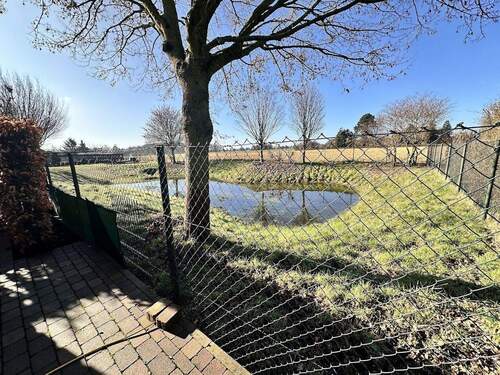 Blick hinten aus dem Garten - 