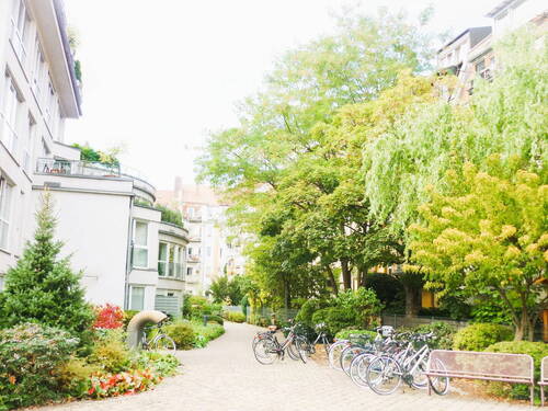 begrünter Innenhofbereich II - 2 Zimmer Terrassenwohnung in Nürnberg