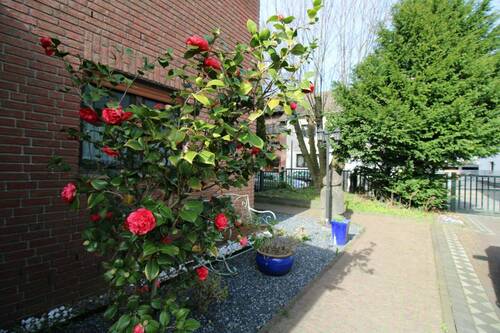 Ansicht - 