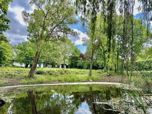 Teich - 