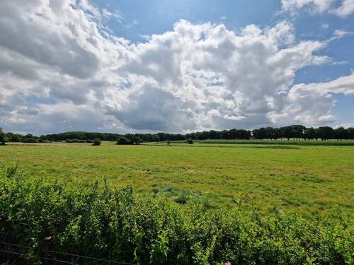 Ausblick Garten - Einfamilienhaus mit 126,60 m² in Ostrohe zum Kaufen