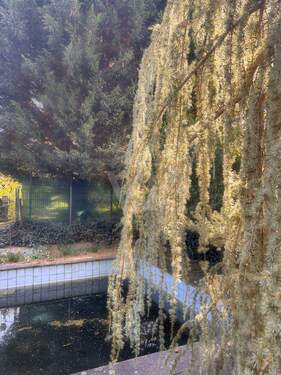 Pool Impression - 