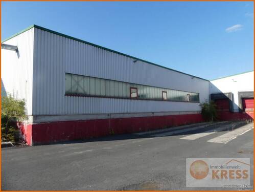 Bild 2 - Halle zum Kaufen in Sinntal / Ziegelhütte