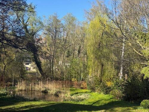 Garten mit Teich - 