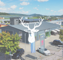 Einmalige Gelegenheit - Einzigartiges Gewerbeobjekt im Lonza Areal mit Baugrundstück zu verkaufen - Waldshut-Tiengen