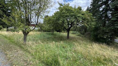 Baumbestand - 