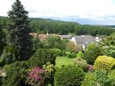 Blick in den Garten - 