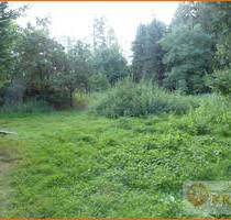 Eingezäuntes Freizeitgrundstück in der Gemarkung von Steinau mit 2 Teichen, Brunnen und Hütten - Steinau an der Straße Ulmbach