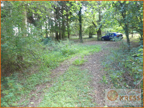 Bild 3 - Grundstück in Steinau an der Straße