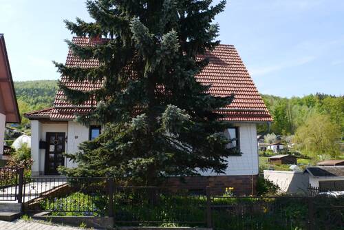 P1050525 - 5 Zimmer Mehrfamilienhaus, Wohnhaus zum Kaufen in Ilmenau